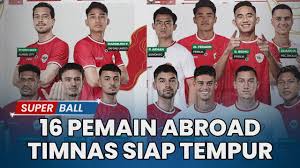 Timnas Indonesia: Mencetak Sejarah dengan 16 Pemain Abroad di Pertandingan Melawan Bahrain